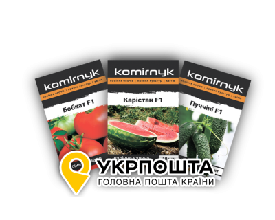Зручна доставка з УкрПошта