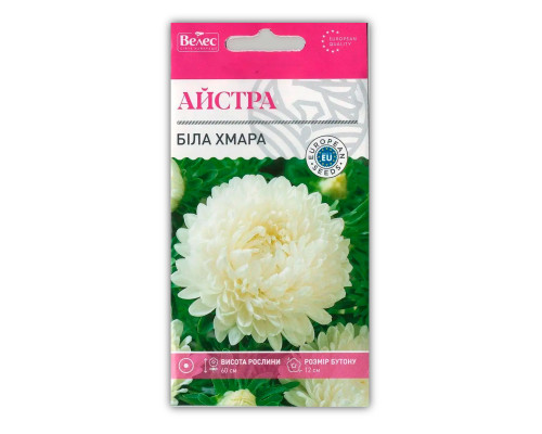 Насіння квітів Айстра Біла Хмара фото