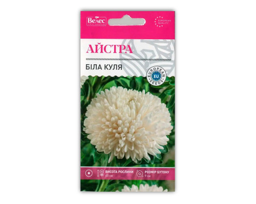 Насіння квітів Айстра Біла Куля фото