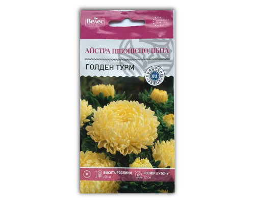 Насіння квітів Айстра Голден Турм фото