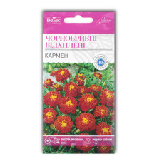 Чорнобривці Кармен