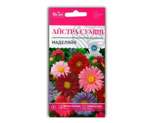 Насіння квітів Айстра Маделяйн фото