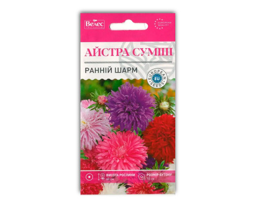 Насіння квітів Айстра Ранній шарм фото