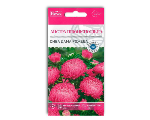 Насіння квітів Айстра Сива Дама рожева фото