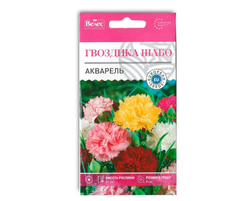 Насіння квітів Гвоздика шабо Акварель фото
