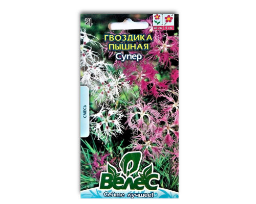 Насіння квітів Гвоздика пишна Супер фото