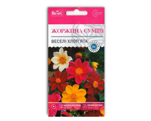Насіння квітів Жоржина Веселі хлоп’ята фото
