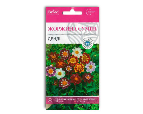Насіння квітів Жоржина Денді фото