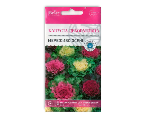 Насіння квітів Капуста декоративна Мереживо осені фото