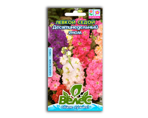 Насіння квітів Левкой сивий Десятитижневий гном фото