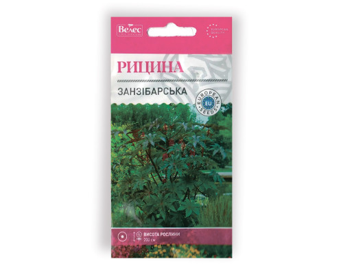 Насіння квітів Рицина Занзібарська фото