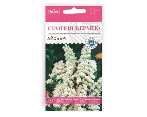 Насіння квітів Статиця (Кермек) Айсберг фото