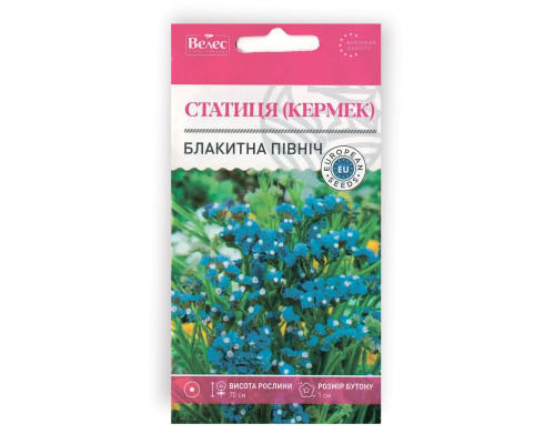 Насіння квітів Статиця (Кермек) Блакитна північ фото