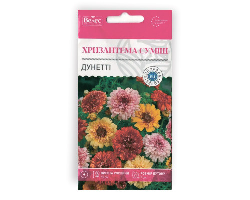 Насіння квітів Хризантема Дунетті фото