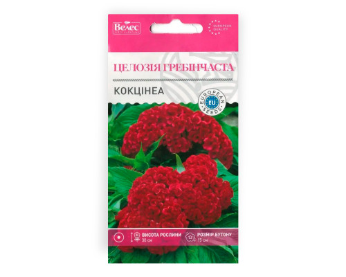 Насіння квітів Целозія Кокцінеа фото