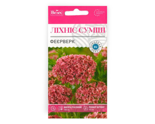Насіння квітів Ліхніс Феєрверк фото
