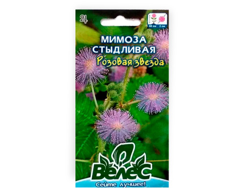 Насіння квітів Мімоза сором'язлива Рожева зірка фото