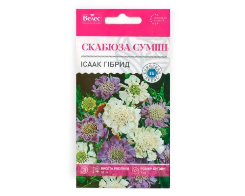 Насіння квітів Скабіоза Ісаак Гібрид фото
