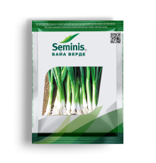 Байа Верде (Baja Verde)
