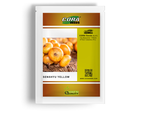 Насіння цибулі Сеншуй Єллоу (Senshyu Yellow) фото
