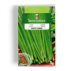 Prato verde (Зелена галявина) на перо