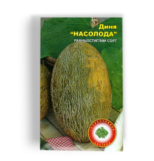 Насолода