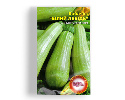 Насіння кабачків Білий лебідь фото