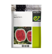 Марісто F1 (Maristo F1)