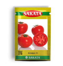 Лінда F1 (Linda F1)