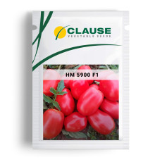 НМ 5900 F1