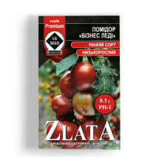 Бізнес леді
