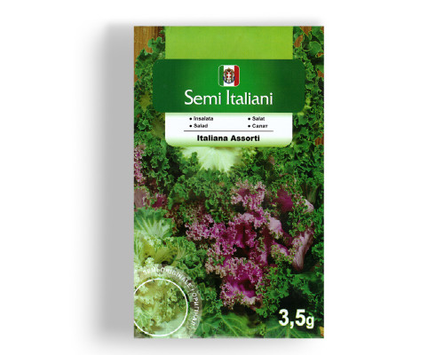 Насіння салату Italiana Assorti (Італійське асорті) фото