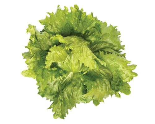 Насіння головчастого салату (айсберг) Ясперінас (Jasperinas)