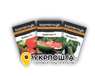 Зручна доставка з УкрПошта